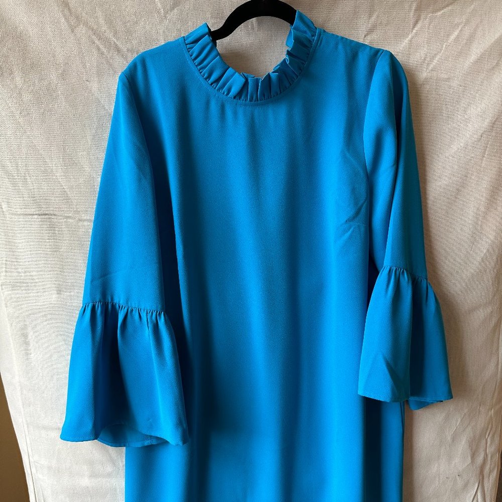 J.Crew ruffle collar dress